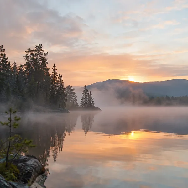 Morning Fog: Ambient Drone